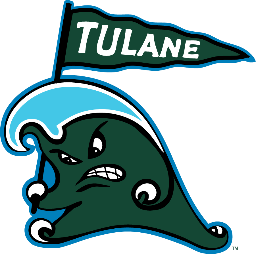 Tulane Green Wave 2016-2017 Secondary Logo diy iron on heat transfer